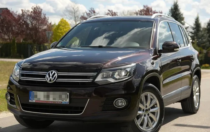 świętokrzyskie Volkswagen Tiguan cena 59900 przebieg: 182000, rok produkcji 2013 z Lubomierz